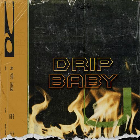 Cartel Loops Drip Baby WAV MIDI Plugintorrent