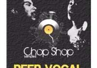 Chop Shop Samples Deep Vocal WAV