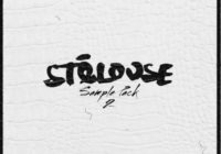 Splice StéLouse Sample Pack 2