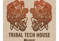 Toolroom Academy Tribal Tech House WAV