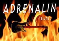 Feed Your Soul Music Feed Your Soul Adrenalin Volume 2 WAV