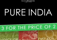 Pure India Bundle WAV REX