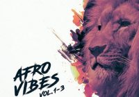King Loops Afro Vibes Bundle (Vol 1-3) WAV MIDI