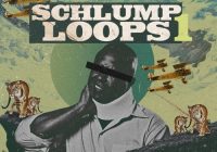 MSXII Sound Design Schlump Loops 1 WAV