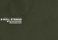 MSXII Audio B-Roll Strings 1 & 2