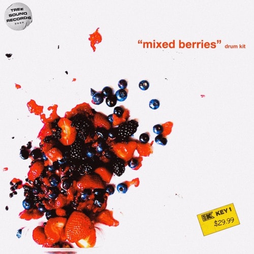 Treesound Mike Hector Mixed Berries (Drum Kit) WAV