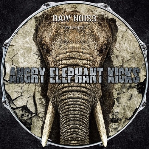 RawNois3 Angry Elephant Kicks WAV