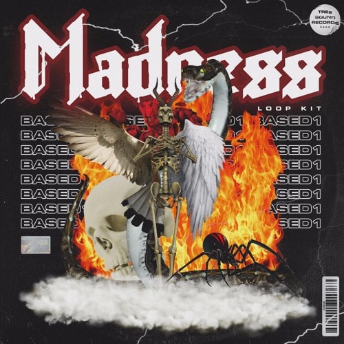 Based1 Madness (Loop Kit) WAV