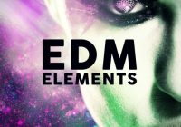 Naked Sounds EDM Elements WAV