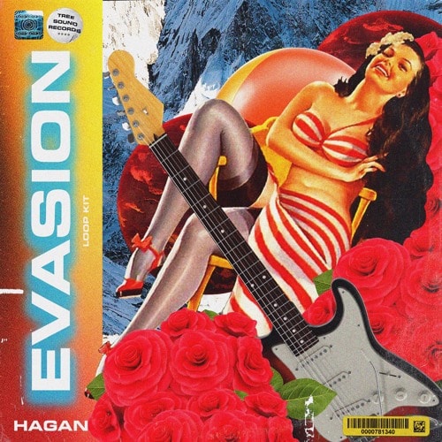 Hagan Evasion Loop Kit WAV