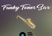 Feed Your Soul Music Feed Your Soul Funky Tenor Sax WAV