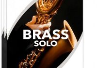 Sonex Audio Brass Solo KONTAKT