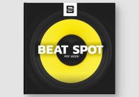 Beat Spot 75K PDF Book