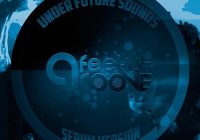 Under Future Sounds Feel Groove Serum Presets FXP