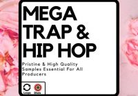 Diamond Sounds Mega Trap & Hip Hop WAV