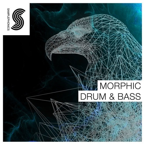 Samplephonics Morphic Drum & Bass MULTIFORMAT
