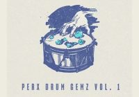 RARE Percussion Perx Drum Gemz Vol.1 WAV