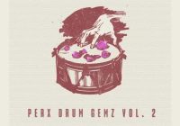 RARE Percussion Perx Drum Gemz Vol.2 WAV