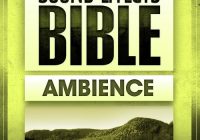 Sound Effects Bible Ambience WAV