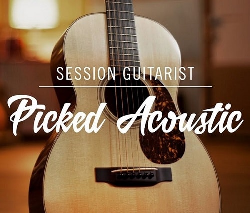 Native Instruments Session Guitarist Picked Acoustic v1.0 KONTAKT-DECiBEL
