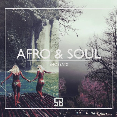 Shobeats Afro And Soul WAV MIDI PRESETS