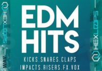 Hex Loops EDM Hits WAV MIDI