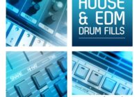 RV Samples House & EDM Drum Fills WAV REX