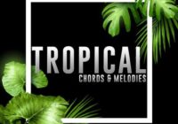 Concept Samples Tropical Chords & Melodies WAV