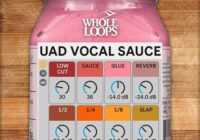 Whole Loops UAD VOCAL SAUCE