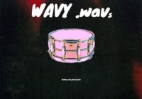 Gondentone Wavy Wavs (Drum Kit) WAV