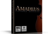 Sonic Scores Amadeus Symphonic Orchestra KONTAKT