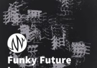 PSE: The Producer's Library Funky Future Loops WAV