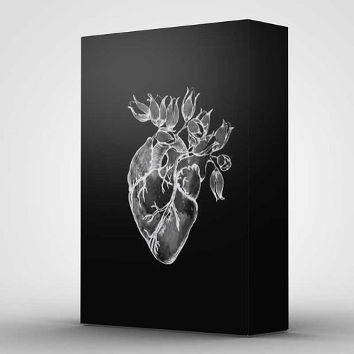 UrBan Nerd Beats Heart (Drum & Sample Pack) WAV