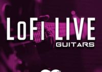 Big Citi Loops Lofi Live Guitars WAV