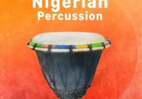 PL Soundbites Nigerian Percussion Mini Pack WAV