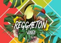 Smemo Sounds Reggaeton Vibes WAV MIDI