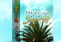 RnBass Sound Kit "Tropics" by Nazz Muzik. Inspired by Nic Nac, DJ Mustard, Kid Ink, Chris Brown