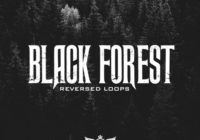 Studio Trap Black Forest: Reversed Loops WAV MIDI PRESETS