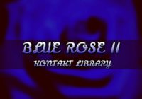 BigWerks Blue Rose II - Kontakt