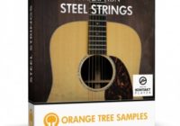 Orange Tree Samples Evolution Steel Strings v1.1.68 KONTAKT