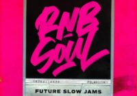 RnB Soul: Future Slow Jams WAV