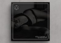 AngelicVibes - Vox Chops (Vox Loop Pack)
