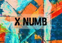 Shobeats X Numb WAV MIDI PRESETS