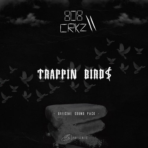 808CRKZ Trappin Birds Official Sound Pack WAV MIDI