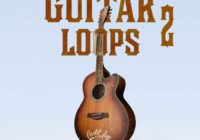 Cartel Loops Guitar Loops Vol.2 WAV