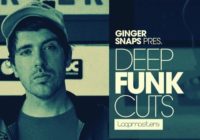 Ginger Snaps – Deep Funk Cuts MULTIFORMAT