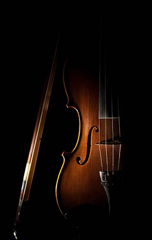 Auddict United Strings of Europe: Violas KONTAKT
