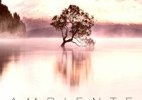 Freak Music Ambiente WAV MIDI SPIRE