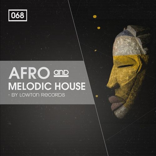 Bingoshakerz Afro & Melodic House by Lowton Records WAV