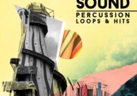 Soul Rush Found Sound - Percussion Loops & Hits Vol.2 WAV